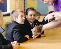 Bring learning to life!