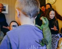 Neptune the water dragon hitching a ride!