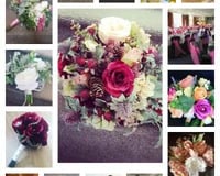 Collage 2020-05-19 14_12_19