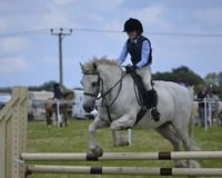 white-horse-jumping-child-white