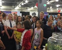 Our Crested Gecko meeting the crowds at the Big Bang event at Doncaster Racecourse