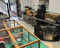 Party set up inside someone's house