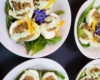 georgia starters.jpg