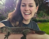 Mossy gecko with guest.