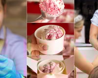 locally sourced gelato and soft serve