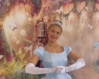 The Glass Slipper Princess.jpeg