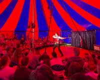 Circus Show