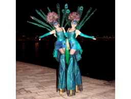 Vertigo Stilts Ltd logo