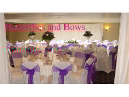 Butterflies And Bows logo