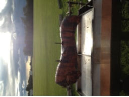 Treacle Town Hog Roast And Event Catering logo