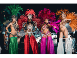 Showstoppers Entertainment Ltd logo