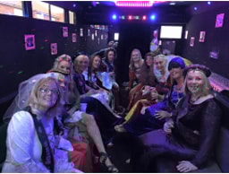 Bliss Limo and Party Bus Hire logo