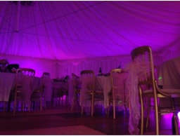 Bees Knees Marquees logo