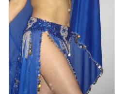 Hawi School of Middle Eastern Belly Dance logo