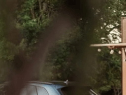 THE MOB PIZZA & BAR logo