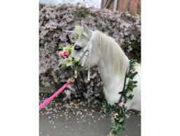 The Ramblers Riding Club And Pony Parties  logo