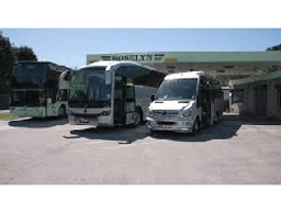 Roselyn Coaches logo