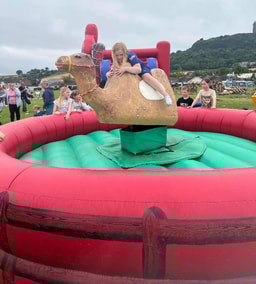 A load of bull Belfast logo