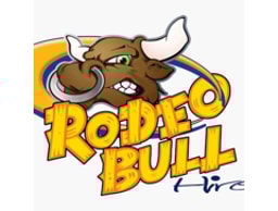 A Load Of Bull Belfast logo