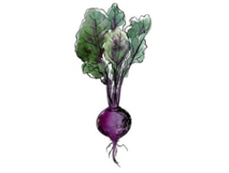 Norfolk County Catering logo