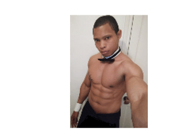 Ricki Dance Shows logo