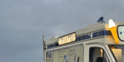 Ice cream Dorset logo