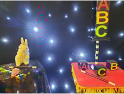 Supersonic Entertainment logo