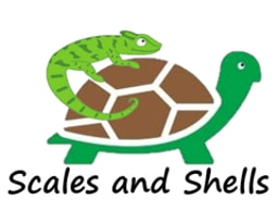 Scales and shells logo