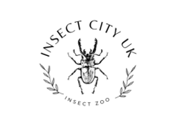 Insect City UK logo
