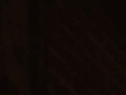 The Whole Caboodle Band logo