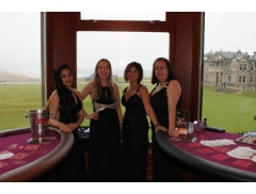 Fabulous Fun Casino logo