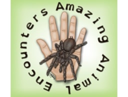 Amazing Animal Encounters logo