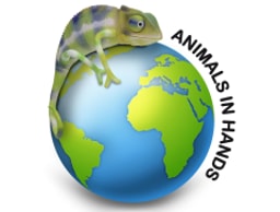 Animals In Hands logo