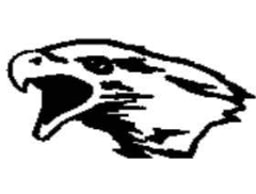 Nighthawk Mobile Disco And Karaoke logo