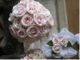 The Gorgeous Flower Company logo