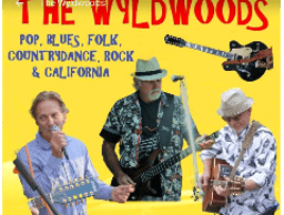 Wyldwoods Music Group logo