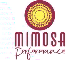 Ana Cerrato Freelance Aerialist logo