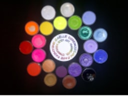 Face Painting by Gaelle Diremszian logo