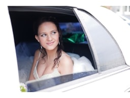 Topman Chauffeurs logo