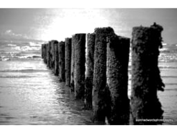 Aaron Edwards Photography logo