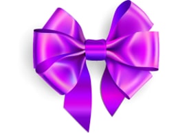 Simply Elegant Occasions logo