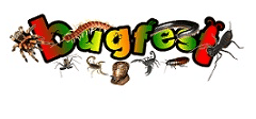 Bugfest logo