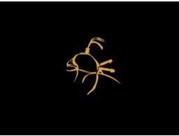 Carmarthenshire Falconry logo