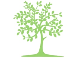 The Lime Tree Bar logo