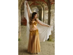 bellydancer - hawaiian dancer logo