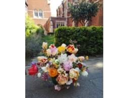 Serendipity Botanist Ltd logo