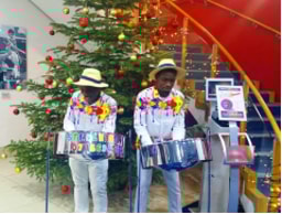 Caribbean Steel Band For Party Hire logo