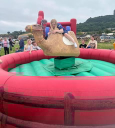 A load of bull Belfast logo