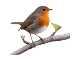 OurWeddingSinger logo