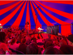 The Circus Experience logo